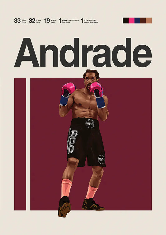 Demetrius Andrade boxing poster with pink gloves