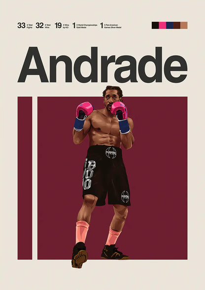 Demetrius Andrade boxing poster with pink gloves