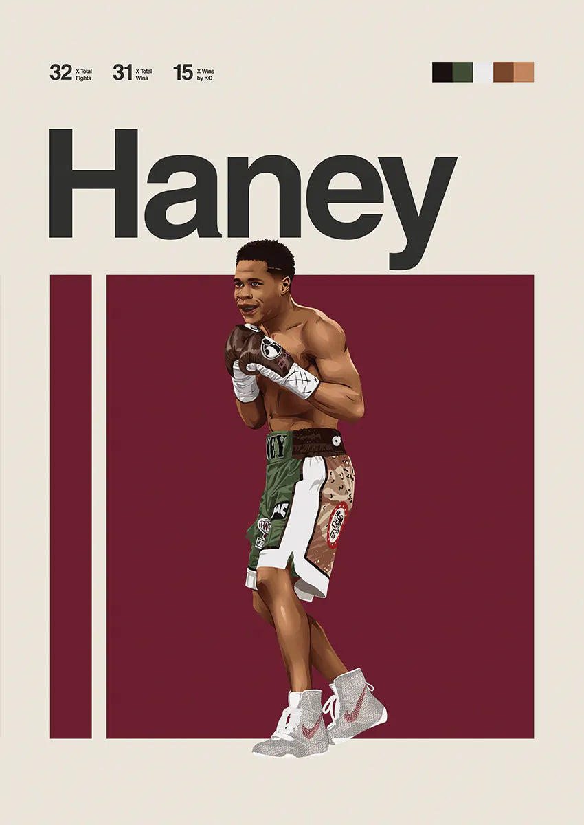 Devin Haney poster in boxing stance on minimalist background